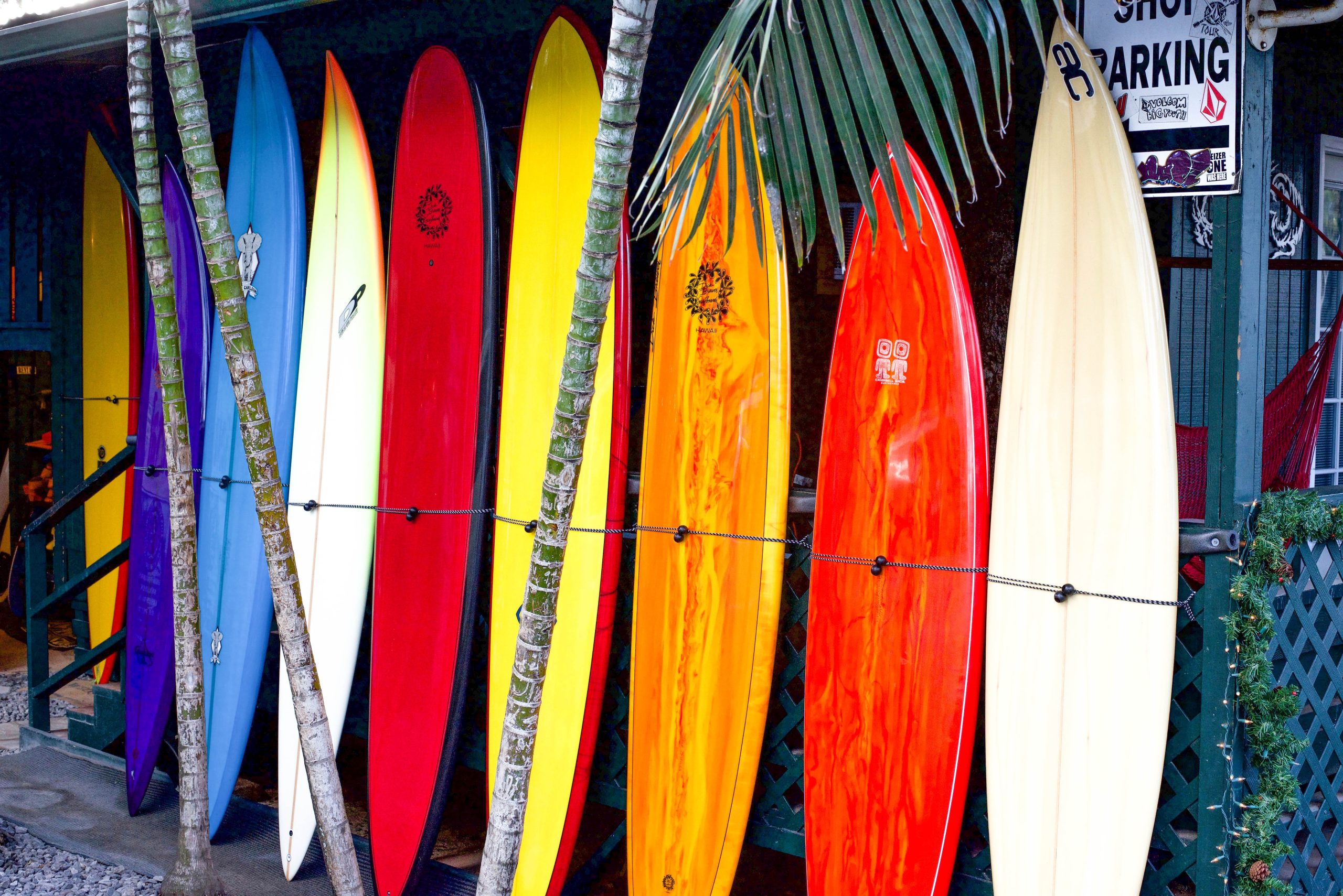 Visit The Australian National Surfing Museum!
